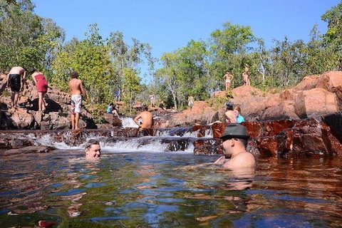 Litchfield And Jumping Crocodiles Full Day Trip From Darwin - Accommodation Gladstone 0