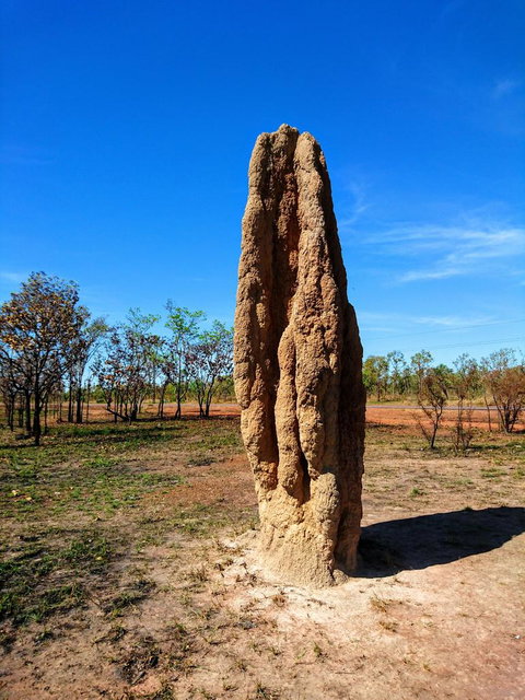 Litchfield And Jumping Crocodiles Full Day Trip From Darwin - Accommodation Gladstone 4