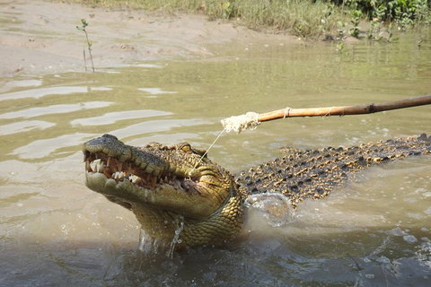 Litchfield And Jumping Crocodiles Full Day Trip From Darwin - Accommodation Gladstone 17