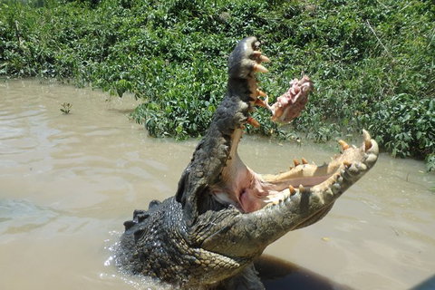 Litchfield And Jumping Crocodiles Full Day Trip From Darwin - Accommodation Gladstone 18