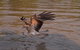 Litchfield And Jumping Crocodiles Full Day Trip From Darwin - thumb 15