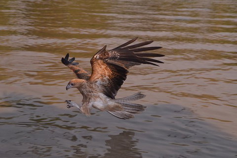 Litchfield And Jumping Crocodiles Full Day Trip From Darwin - Accommodation Gladstone 15