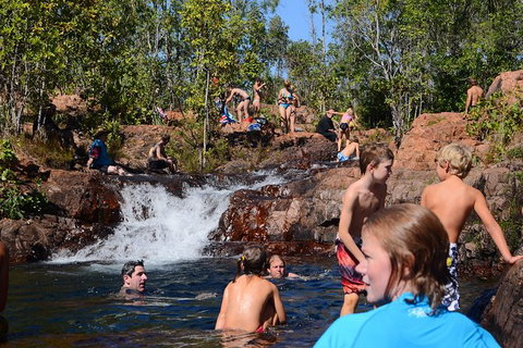Litchfield And Jumping Crocodiles Full Day Trip From Darwin - Accommodation Gladstone 10