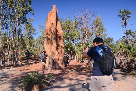 Litchfield And Jumping Crocodiles Full Day Trip From Darwin - Accommodation Gladstone 16