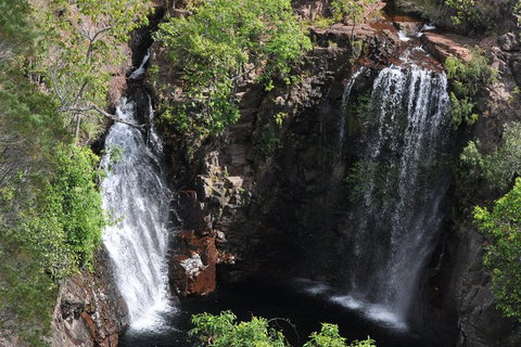 Litchfield And Jumping Crocodiles Full Day Trip From Darwin - Accommodation Gladstone 8