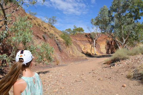 West MacDonnell Ranges Small-Group Full-Day Guided Tour - Accommodation Gladstone 2