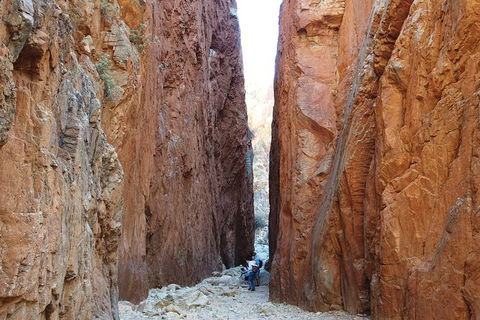 West MacDonnell Ranges Small-Group Full-Day Guided Tour - Accommodation Gladstone 6