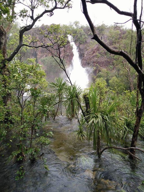 Small-Group Litchfield National Park Day Trip From Darwin - Accommodation Gladstone 6