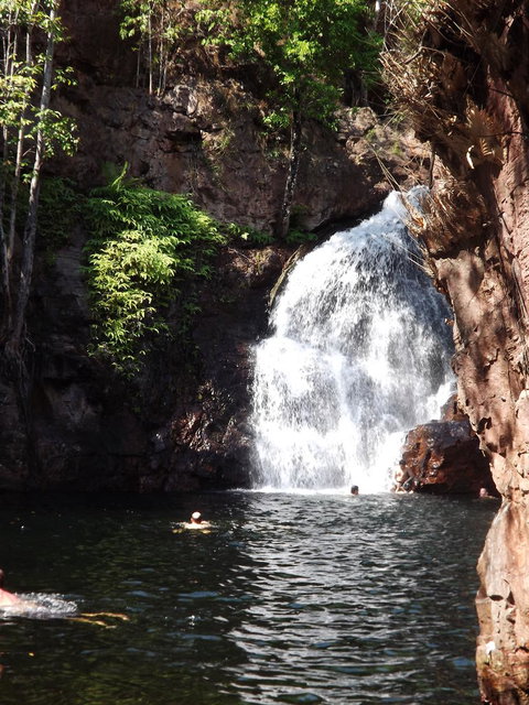 Small-Group Litchfield National Park Day Trip From Darwin - Accommodation Gladstone 13