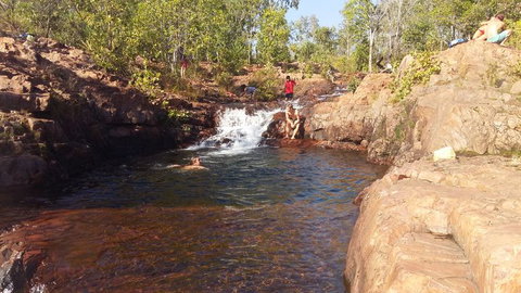 Small-Group Litchfield National Park Day Trip From Darwin - Accommodation Gladstone 12