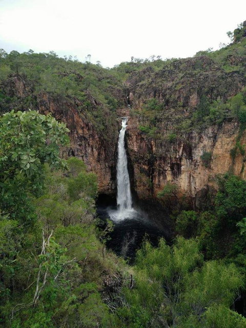 Small-Group Litchfield National Park Day Trip From Darwin - Accommodation Gladstone 5
