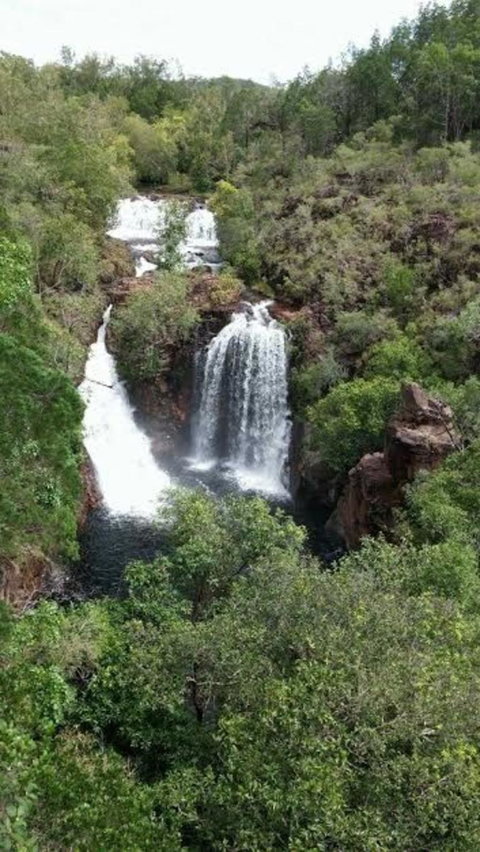Small-Group Litchfield National Park Day Trip From Darwin - Accommodation Gladstone 7
