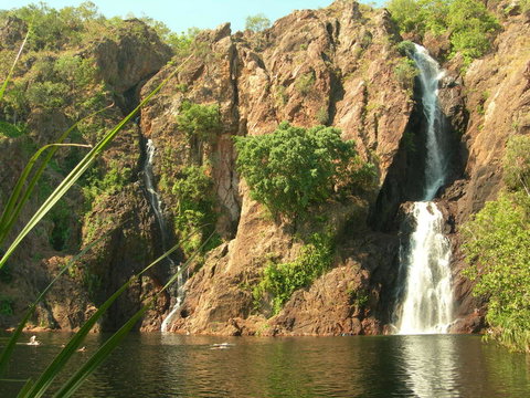 Small-Group Litchfield National Park Day Trip From Darwin - Accommodation Gladstone 15