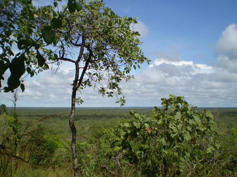 Small-Group Litchfield National Park Day Trip From Darwin - Accommodation Gladstone 8