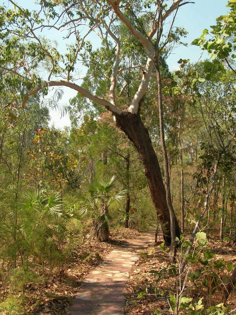 Small-Group Litchfield National Park Day Trip From Darwin - Accommodation Gladstone 14