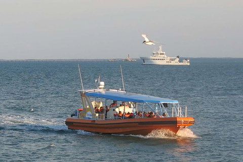 1-Hour Darwin Harbour Highlights Cruise - Accommodation Gladstone 0