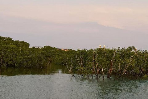 1-Hour Darwin Harbour Highlights Cruise - Accommodation Gladstone 7
