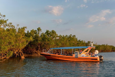 1-Hour Darwin Harbour Highlights Cruise - Accommodation Gladstone 3