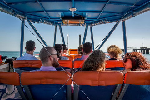 1-Hour Darwin Harbour Highlights Cruise - Accommodation Gladstone 6