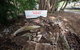 Bombing Of Darwin World War II Tour With Harbour Cruise - thumb 1