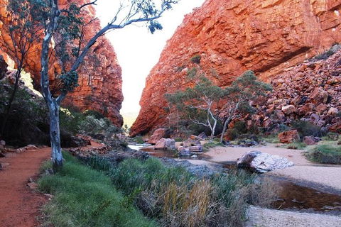 Half Day MacDonnell Ranges Small Group - Private Guided Tour - Accommodation Gladstone 0