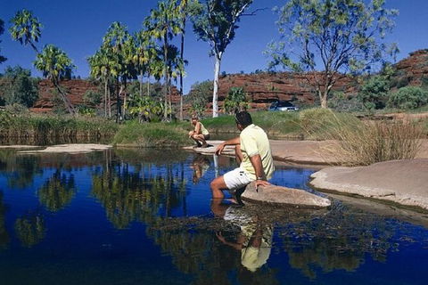 Palm Valley 4WD Day Tour - Accommodation Gladstone 3
