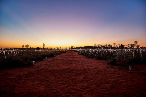 Uluru & Kata Tjuta Sights & Sounds - Accommodation Gladstone 16