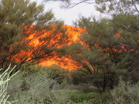 3-Day Ayers Rock, Olgas And Kings Canyon Camping Safari - Accommodation Gladstone 6