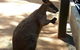 All Inclusive Blue Mountains Small-Group Day Trip From Sydney - thumb 25