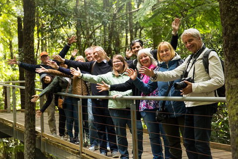 All Inclusive Blue Mountains Small-Group Day Trip From Sydney - Accommodation Gladstone 30