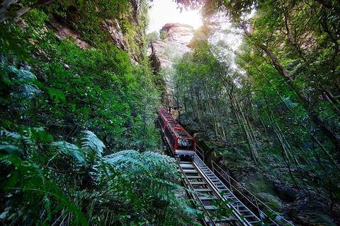 All-Inclusive Blue Mountains Tour In A Luxury Mercedes Sprinter - Accommodation Gladstone 3