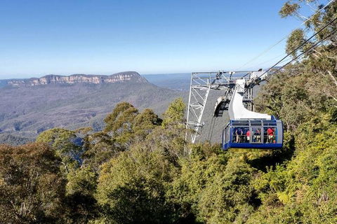 All-Inclusive Blue Mountains Tour In A Luxury Mercedes Sprinter - Accommodation Gladstone 6