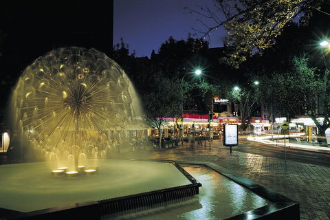 Private Tour: Sydney At Night - Accommodation Gladstone 1