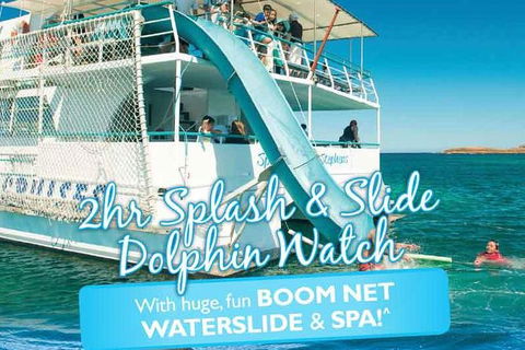 Port Stephens Dolphin Watching Cruise Including Splash And Slide - Accommodation Gladstone 0