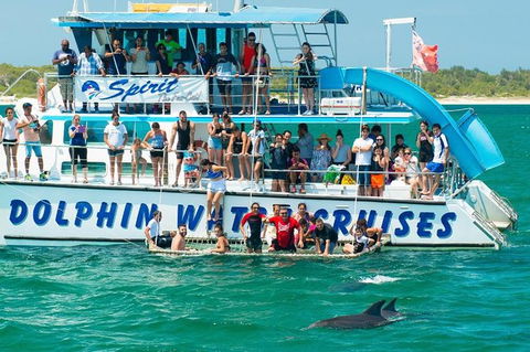 Port Stephens Dolphin Watching Cruise Including Splash And Slide - Accommodation Gladstone 1