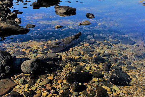 The Eurobodalla Experience (Full Day Private Tour Including Lunch) - Accommodation Gladstone 14