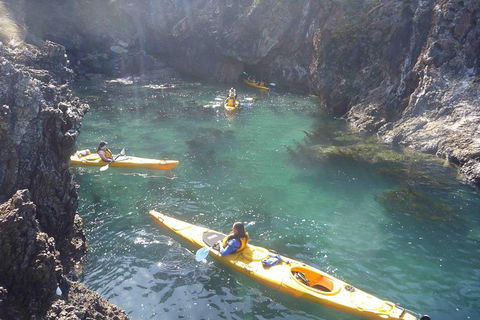 Batemans Bay Full Day Sea Kayak Tour With Beach Picnic Lunch - Accommodation Gladstone 5