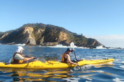 Batemans Bay Full Day Sea Kayak Tour With Beach Picnic Lunch - Accommodation Gladstone 4
