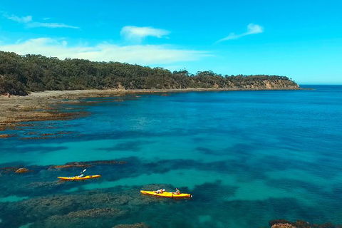 Batemans Bay Full Day Sea Kayak Tour With Beach Picnic Lunch - Accommodation Gladstone 7