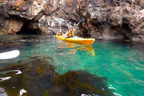 Batemans Bay Full Day Sea Kayak Tour With Beach Picnic Lunch - Accommodation Gladstone 2
