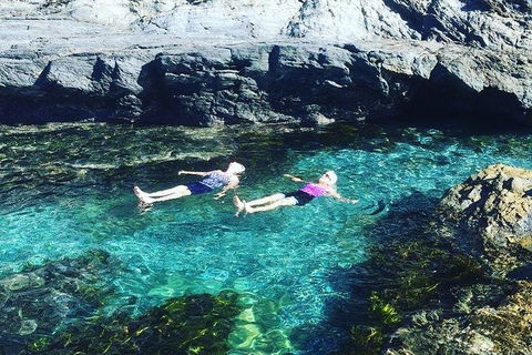 Batemans Bay Full Day Sea Kayak Tour With Beach Picnic Lunch - Accommodation Gladstone 6