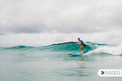 5-Day Byron Bay And Evans Head Surf Adventure From Brisbane, Gold Coast Or Byron Bay - Accommodation Gladstone 4