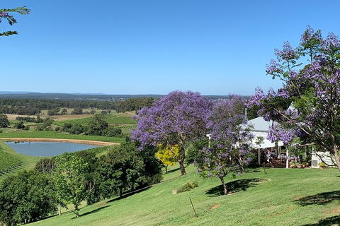Private Hunter Valley Lunch Tour By Helicopter - Accommodation Gladstone 4