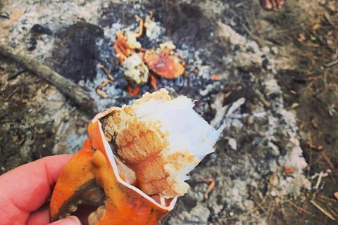 Pot To Plate Adventure - Accommodation Gladstone 4