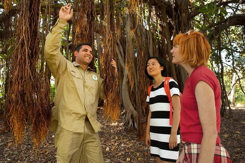 Aboriginal Heritage Tour At The Royal Botanic Garden Sydney - Accommodation Gladstone 6