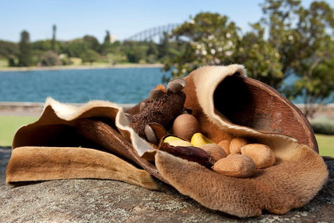 Aboriginal Heritage Tour At The Royal Botanic Garden Sydney - Accommodation Gladstone 7