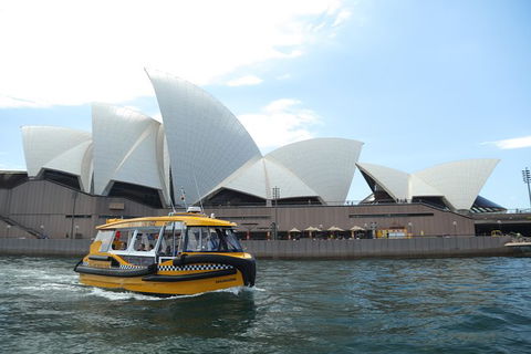 Private Sydney Harbour Cruise With Yellow Water Taxis - Accommodation Gladstone 0