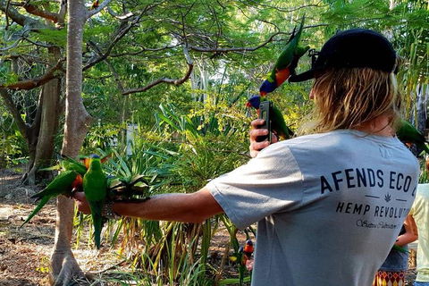 Stray Australia: Byron Bay To Cairns - Freestyle Tour - Accommodation Gladstone 1