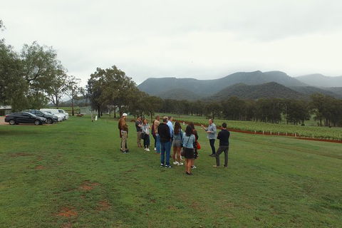 Hunter Valley Private Tour Including Wine, Chocolate, Cheese, Vodka, Gin Tasting - Accommodation Gladstone 10