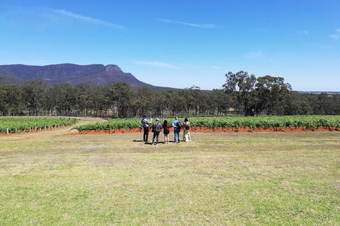 Hunter Valley Private Tour Including Wine, Chocolate, Cheese, Vodka, Gin Tasting - Accommodation Gladstone 4
